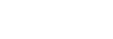 Silvion